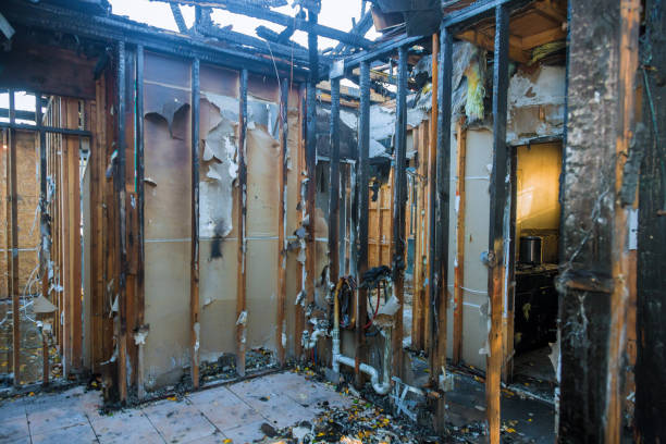 Professional Fire Damage Removal technician working in Galesville, WI